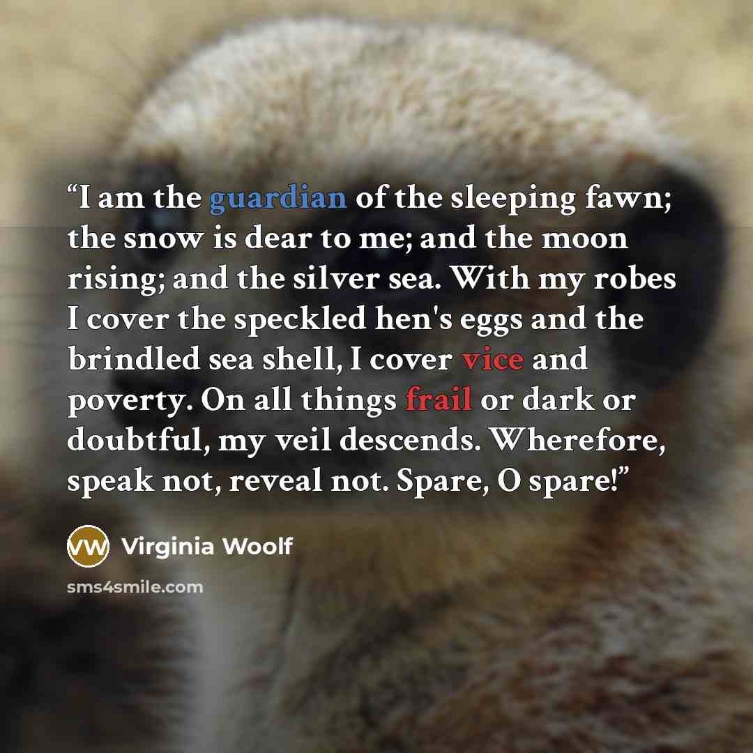 “I am the guardian of the sleeping fawn; the snow is dear to me; and the moon rising; and the silver sea. With my robes I cover the speckled hen's eggs and the brindled sea shell, I cover vice and poverty. On all things frail or dark or doubtful, my veil descends. Wherefore, speak not, reveal not…” quote by Virginia Woolf