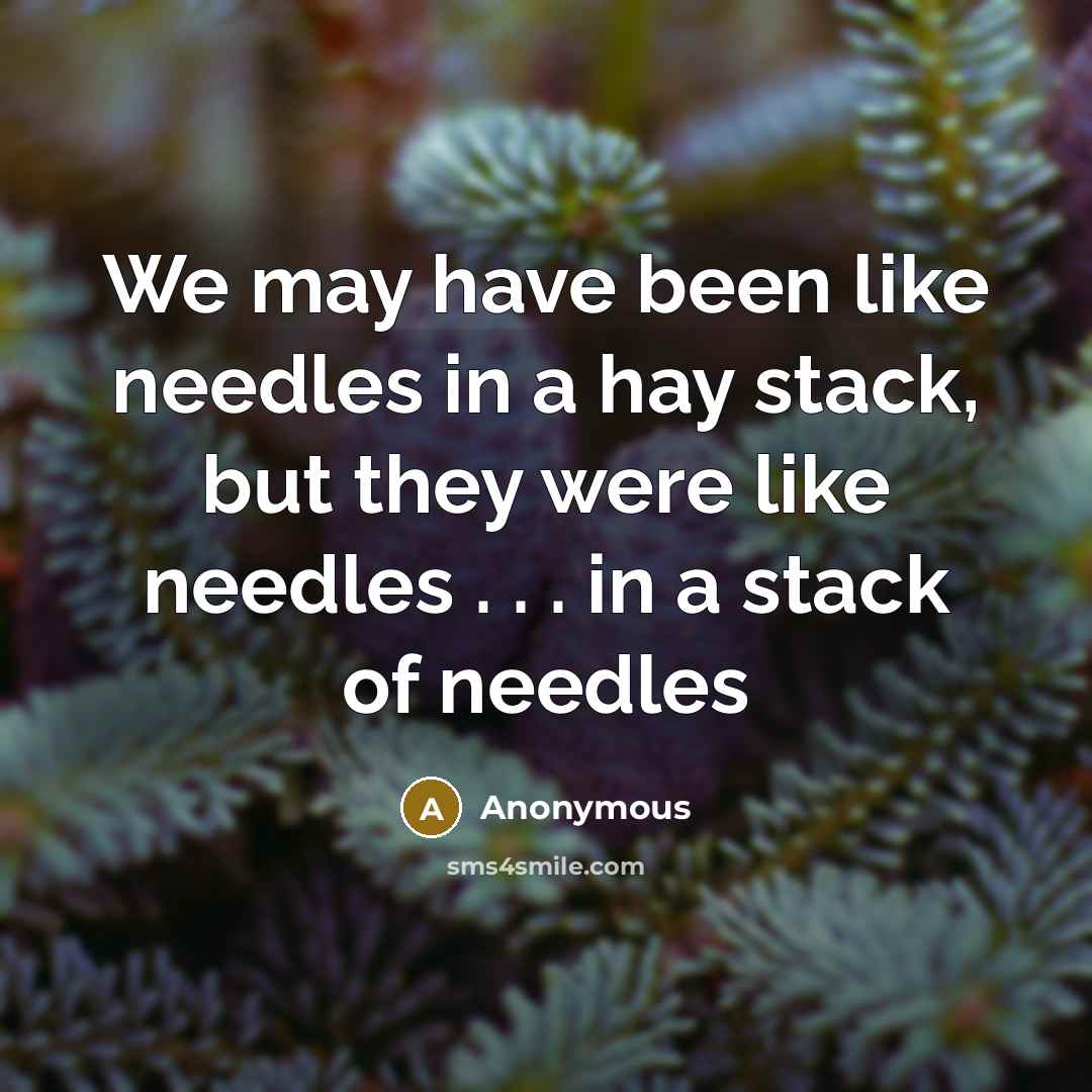 “We may have been like needles in a hay stack,…” quote by Anonymous