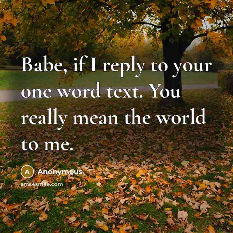 “Babe, if I reply to your one word text. You really mean the world to me.” quote by Anonymous