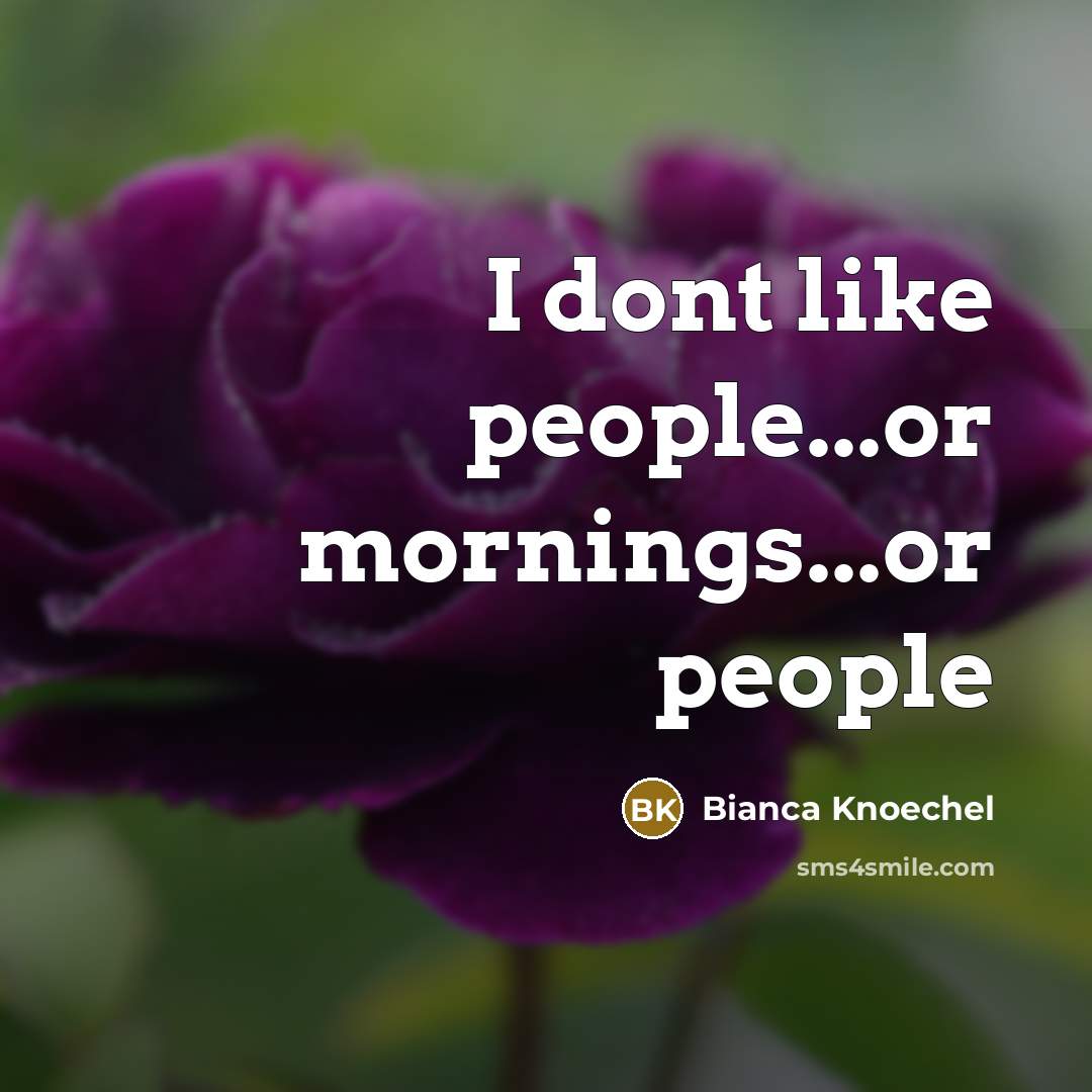 “I dont like people...or mornings...or people…” quote by Bianca Knoechel