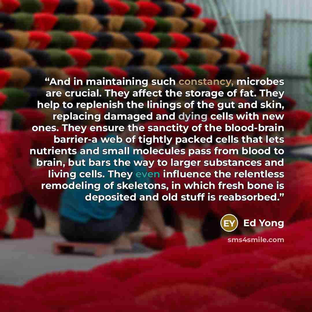 “And in maintaining such constancy, microbes are crucial. They affect the storage of fat. They help to replenish the linings of the gut and skin, replacing damaged and dying cells with new ones. They ensure the sanctity of the blood-brain barrier-a web of tightly packed cells that lets nutrients…” quote by Ed Yong