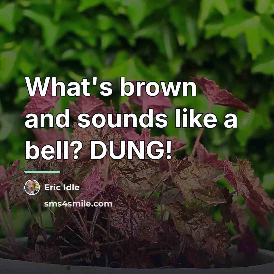 “What's brown and sounds like a bell? DUNG!…” quote by Eric Idle