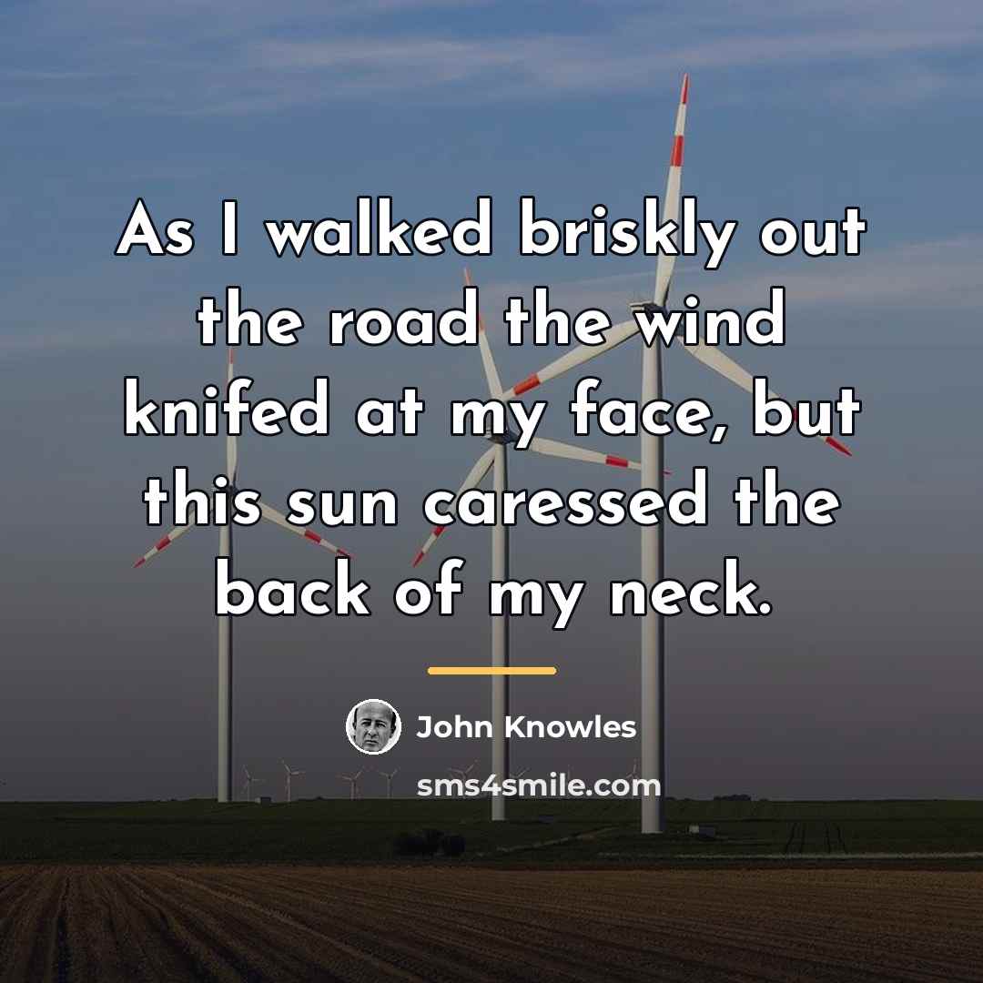 “As I walked briskly out the road the wind knifed…” quote by John Knowles