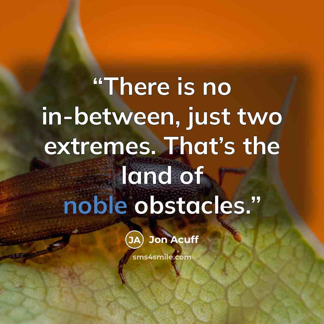 “There is no in-between, just two extremes. That’s the land of noble obstacles.” quote by Jon Acuff