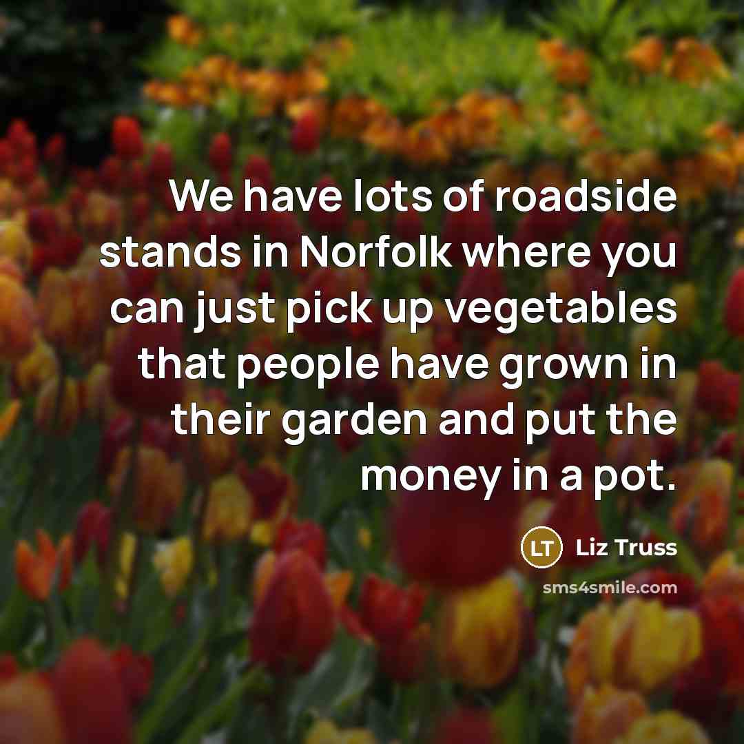 “We have lots of roadside stands in Norfolk where you…” quote by Liz Truss