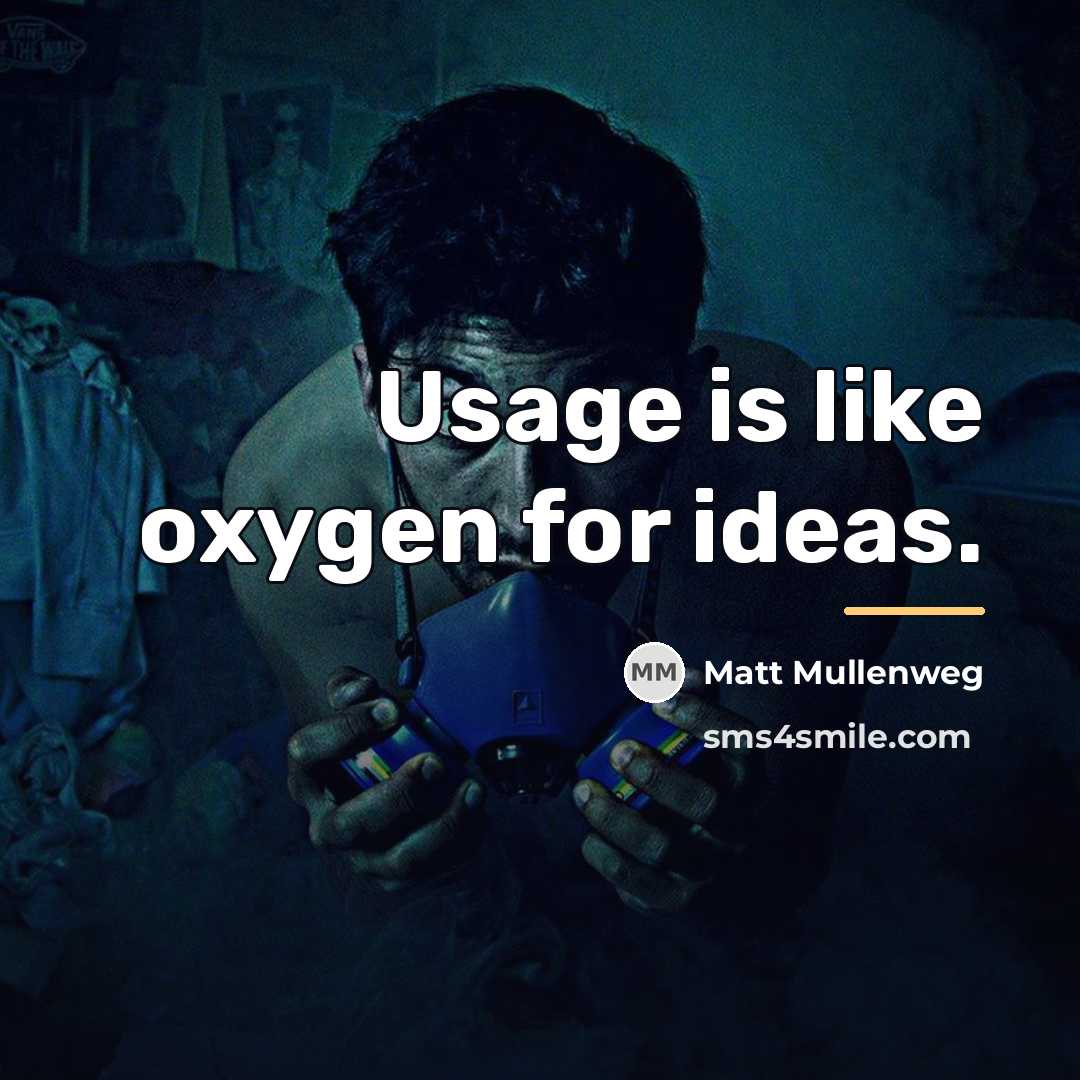“Usage is like oxygen for ideas.…” quote by Matt Mullenweg