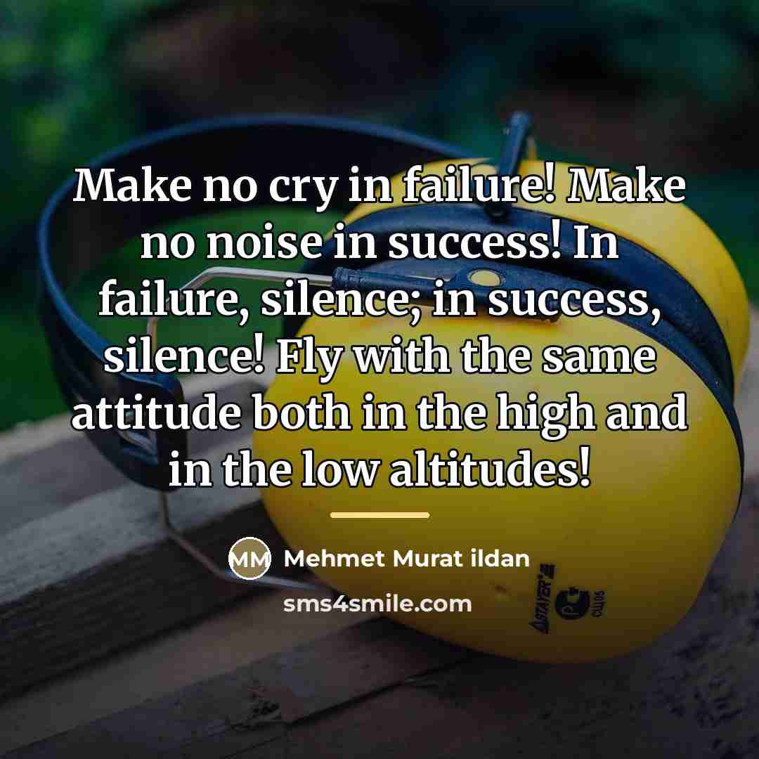 “Make no cry in failure! Make no noise in success!…” quote by Mehmet Murat Ildan