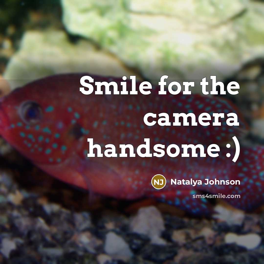 “Smile for the camera handsome :)” quote by Natalya Johnson