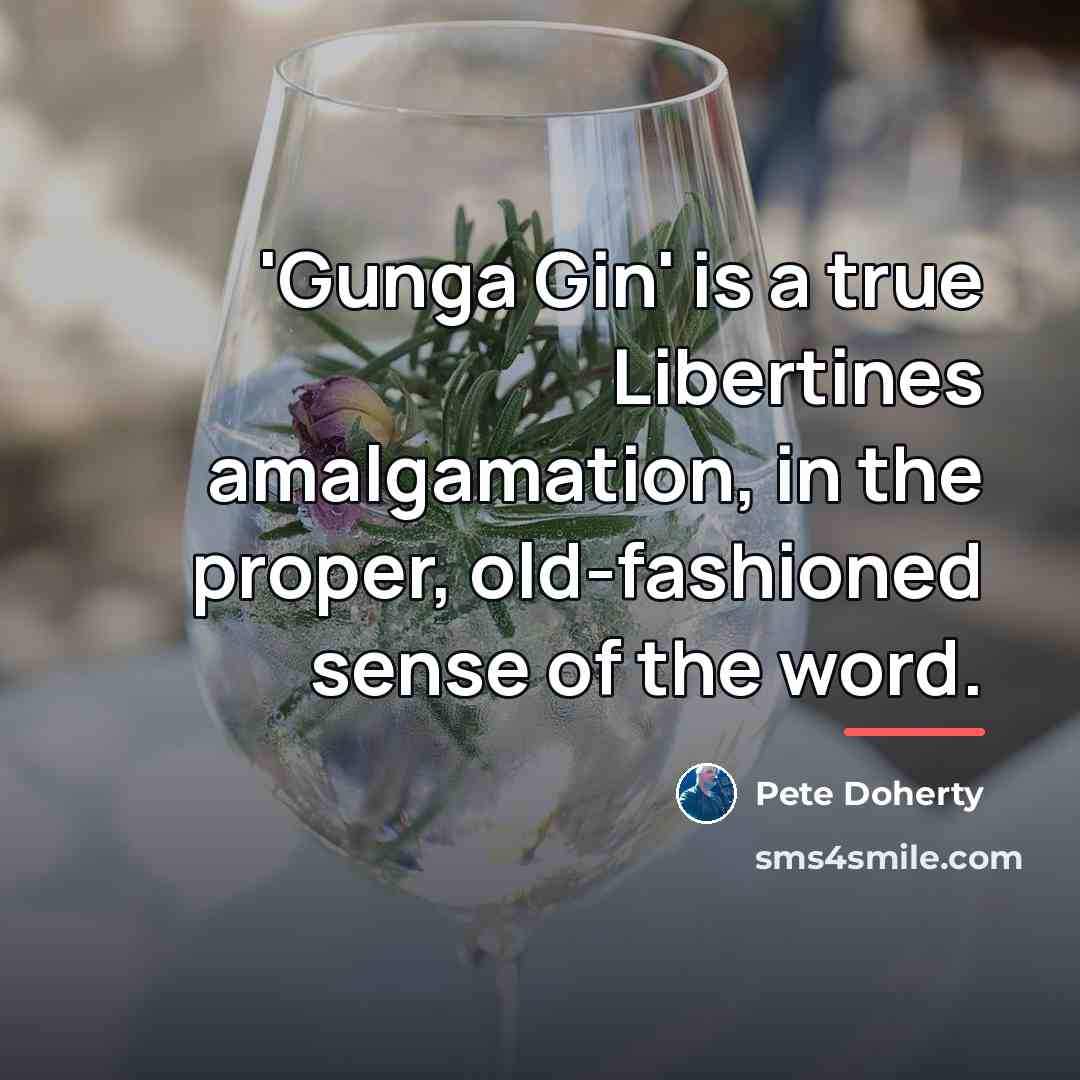 “'Gunga Gin' is a true Libertines amalgamation, in the proper,…” quote by Pete Doherty