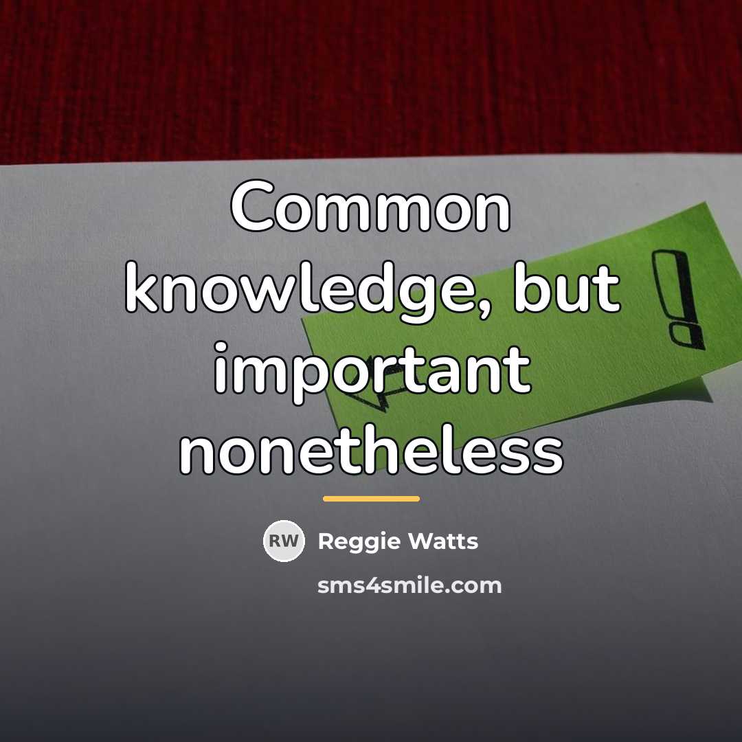 “Common knowledge, but important nonetheless…” quote by Reggie Watts