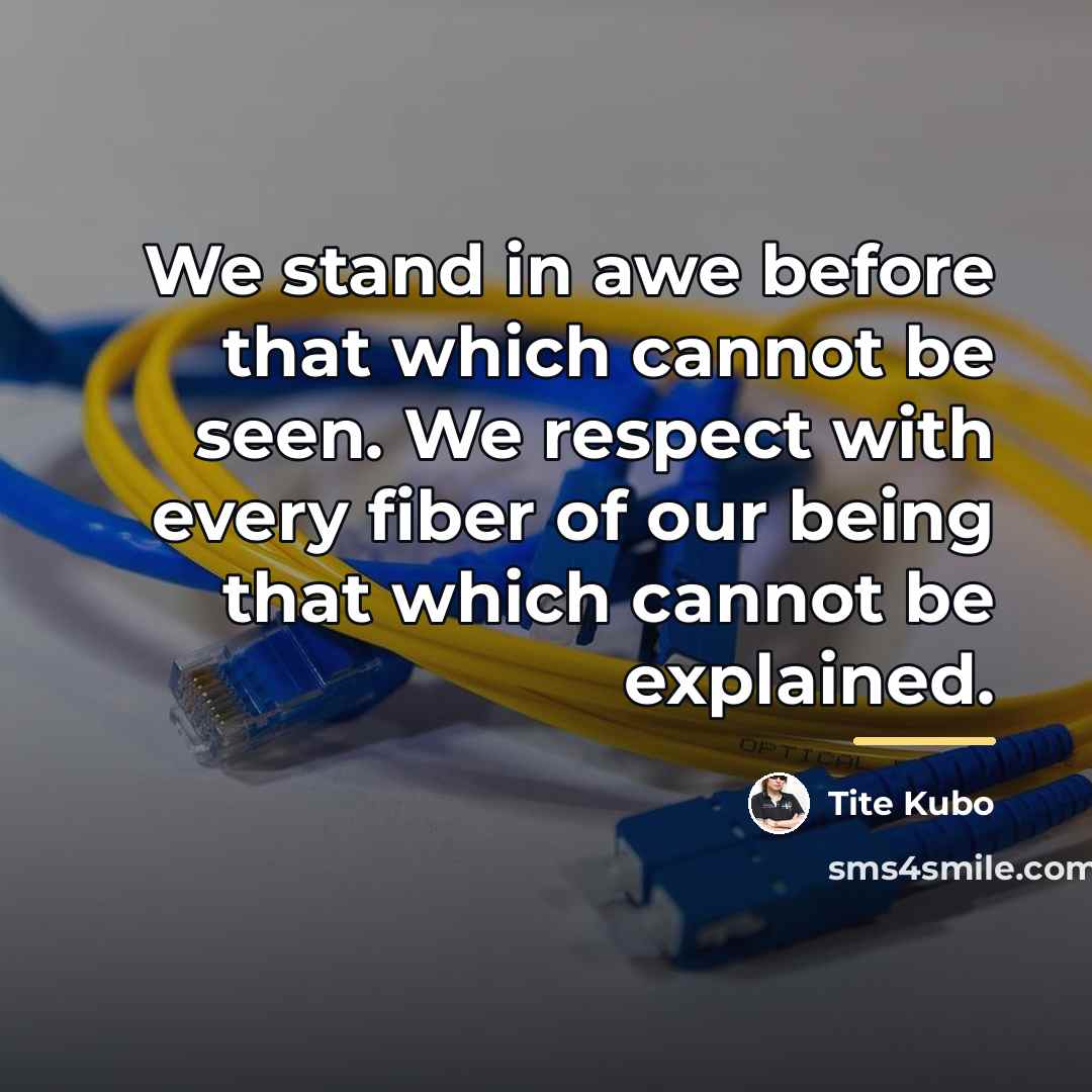 “We stand in awe before that which cannot be seen.…” quote by Tite Kubo