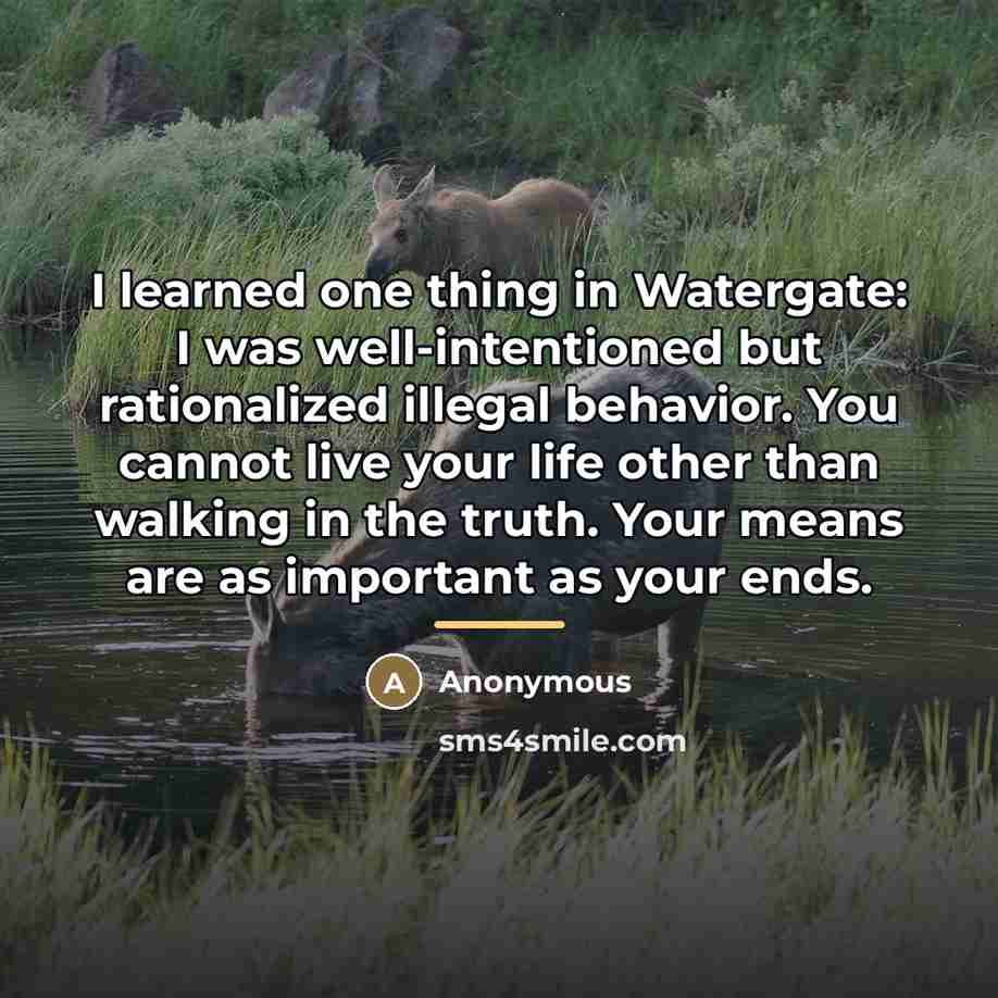“I learned one thing in Watergate: I was well-intentioned but…” quote by Anonymous