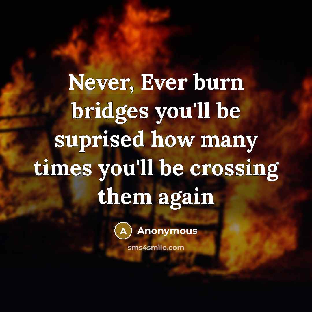 “Never, Ever burn bridges you'll be suprised how many times…” quote by Anonymous