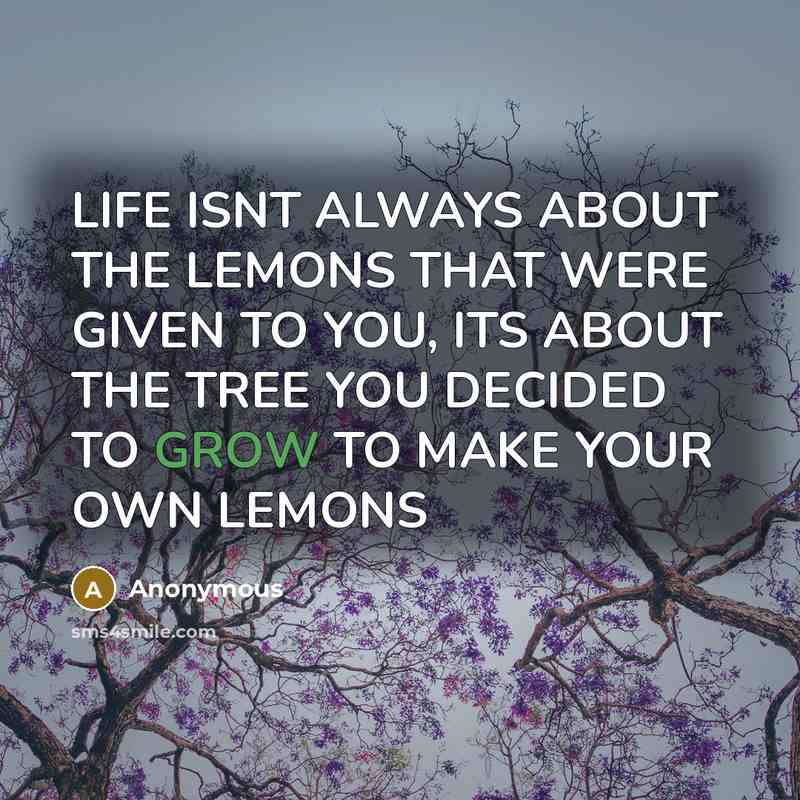 “LIFE ISNT ALWAYS ABOUT THE LEMONS THAT WERE GIVEN TO…” quote by Anonymous