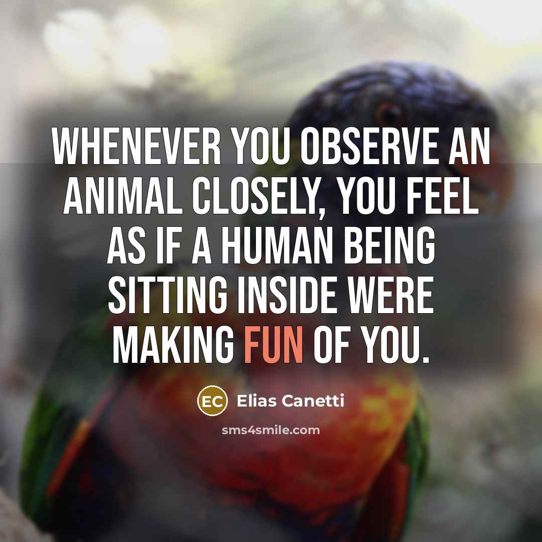 “Whenever you observe an animal closely, you feel as if…” quote by Elias Canetti