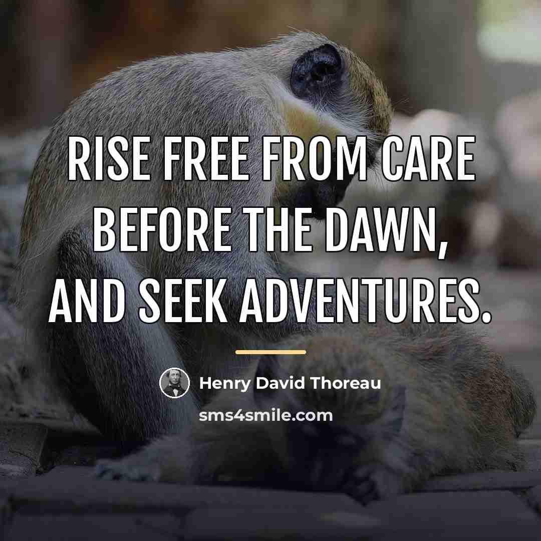 “Rise free from care before the dawn, and seek adventures.…” quote by Henry David Thoreau