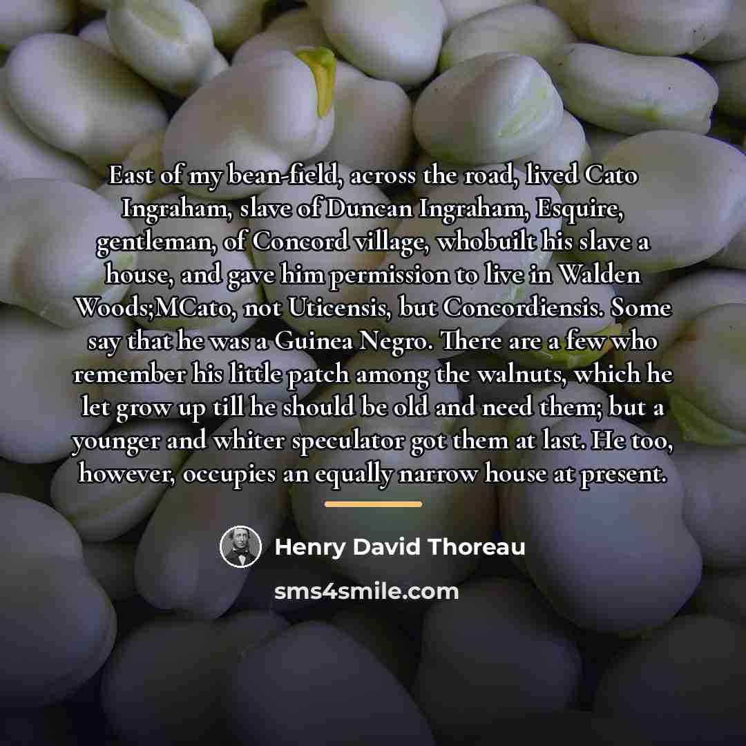 “East of my bean-field, across the road, lived Cato Ingraham,…” quote by Henry David Thoreau