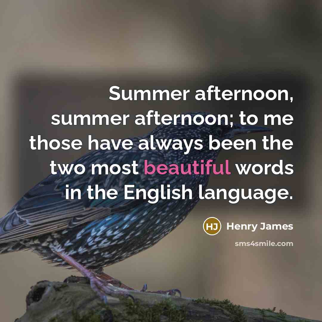 “Summer afternoon, summer afternoon; to me those have always been the two most beautiful words in the English language.” quote by Henry James