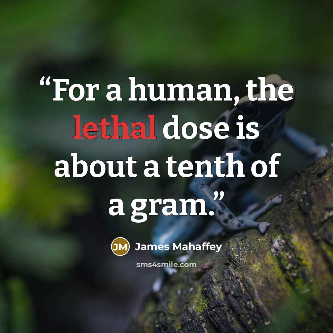“For a human, the lethal dose is about a tenth of a gram.” quote by James Mahaffey