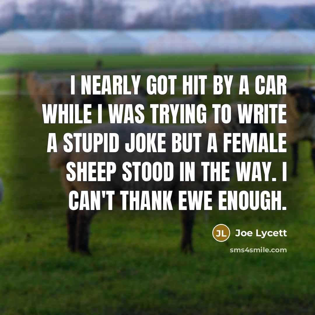 “I nearly got hit by a car while I was…” quote by Joe Lycett