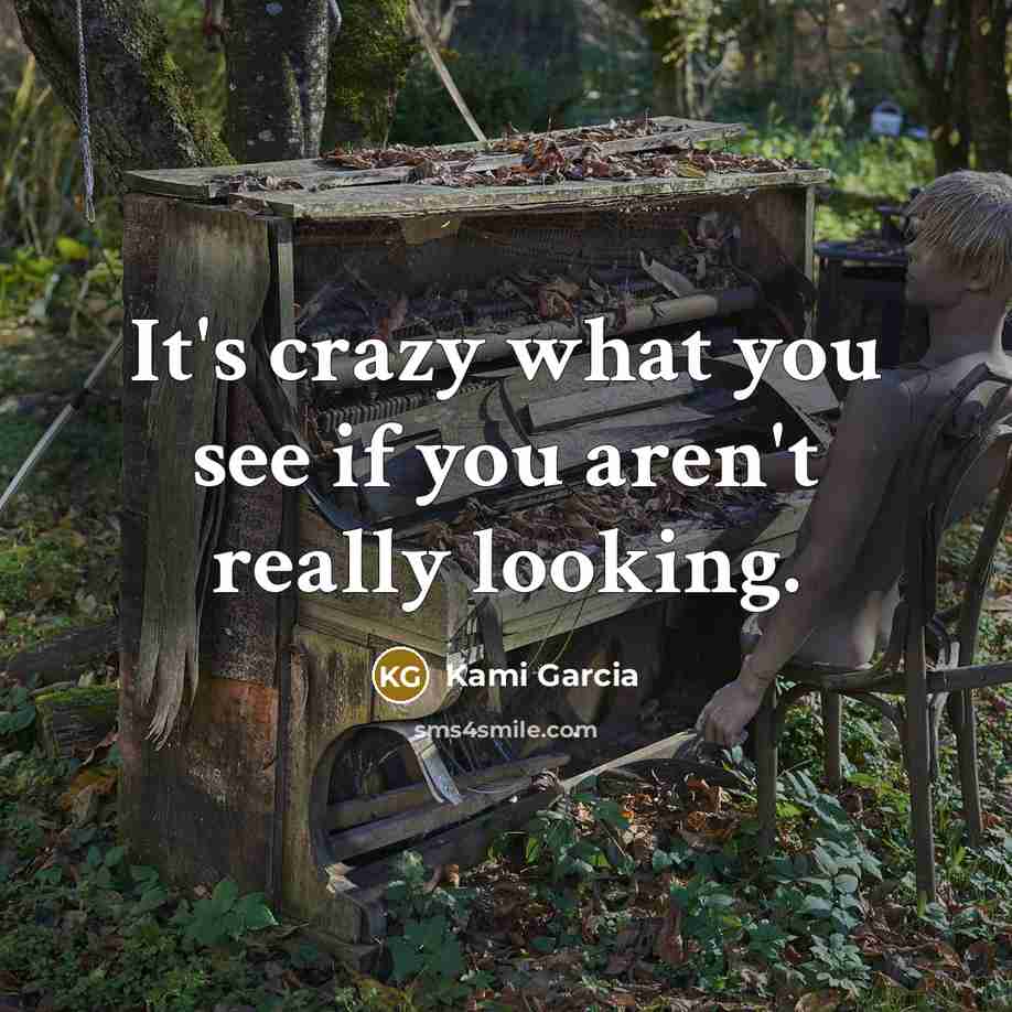 “It's crazy what you see if you aren't really looking.…” quote by Kami Garcia