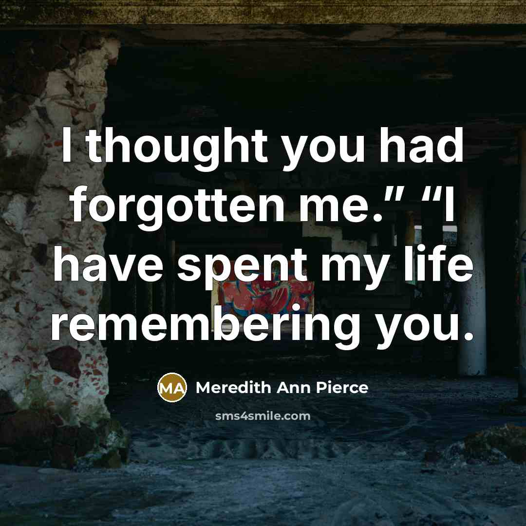 “I thought you had forgotten me.” “I have spent my…” quote by Meredith Ann Pierce