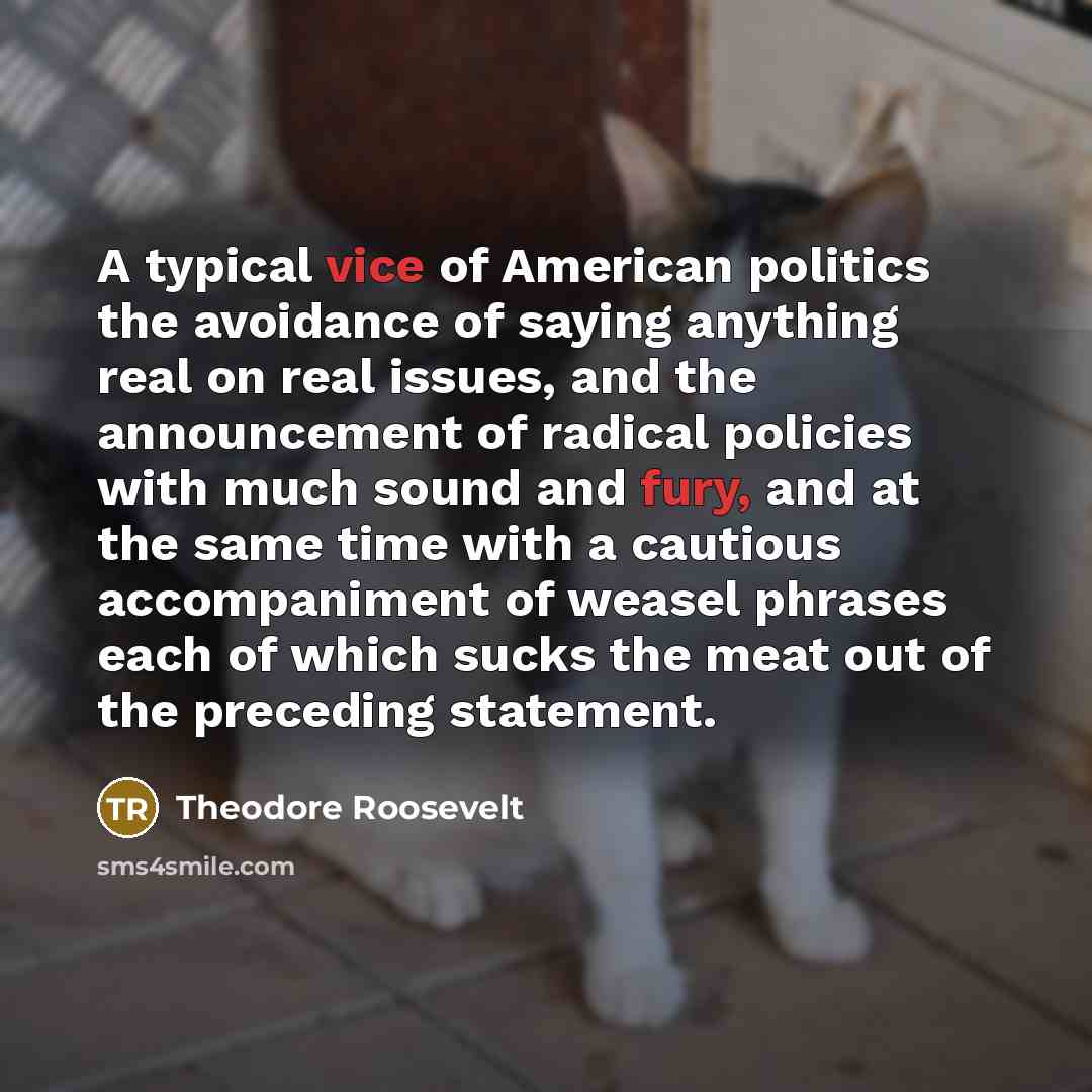 “A typical vice of American politics the avoidance of saying…” quote by Theodore Roosevelt