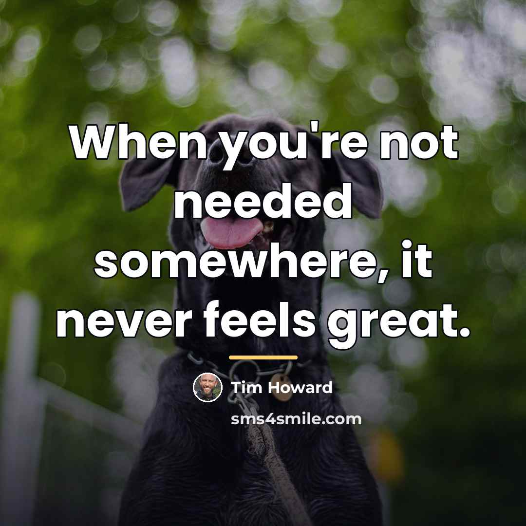“When you're not needed somewhere, it never feels great.…” quote by Tim Howard