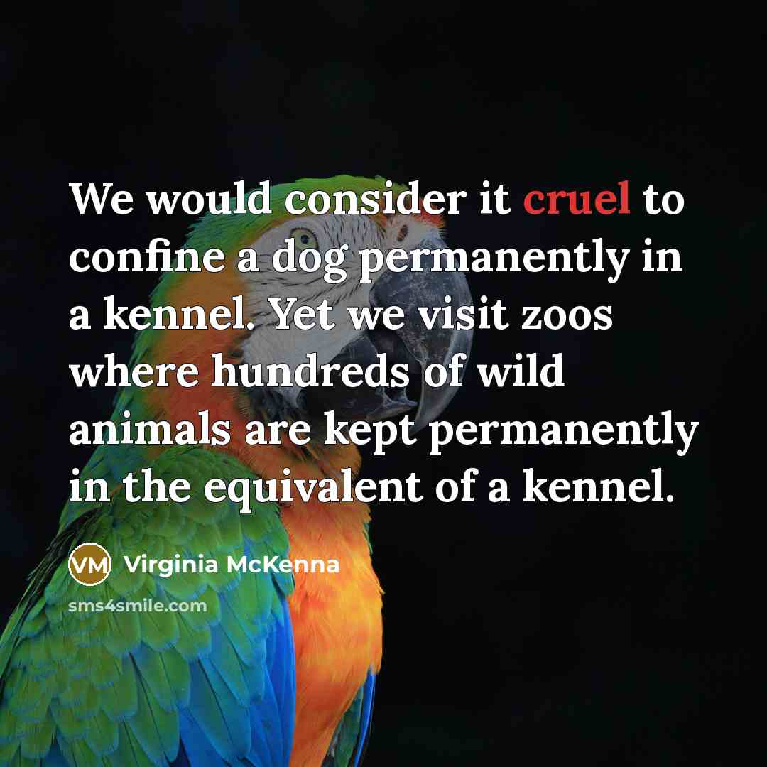 “We would consider it cruel to confine a dog permanently…” quote by Virginia McKenna