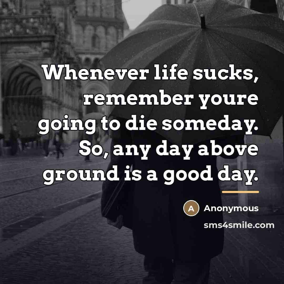 “Whenever life sucks, remember youre going to die someday. So,…” quote by Anonymous