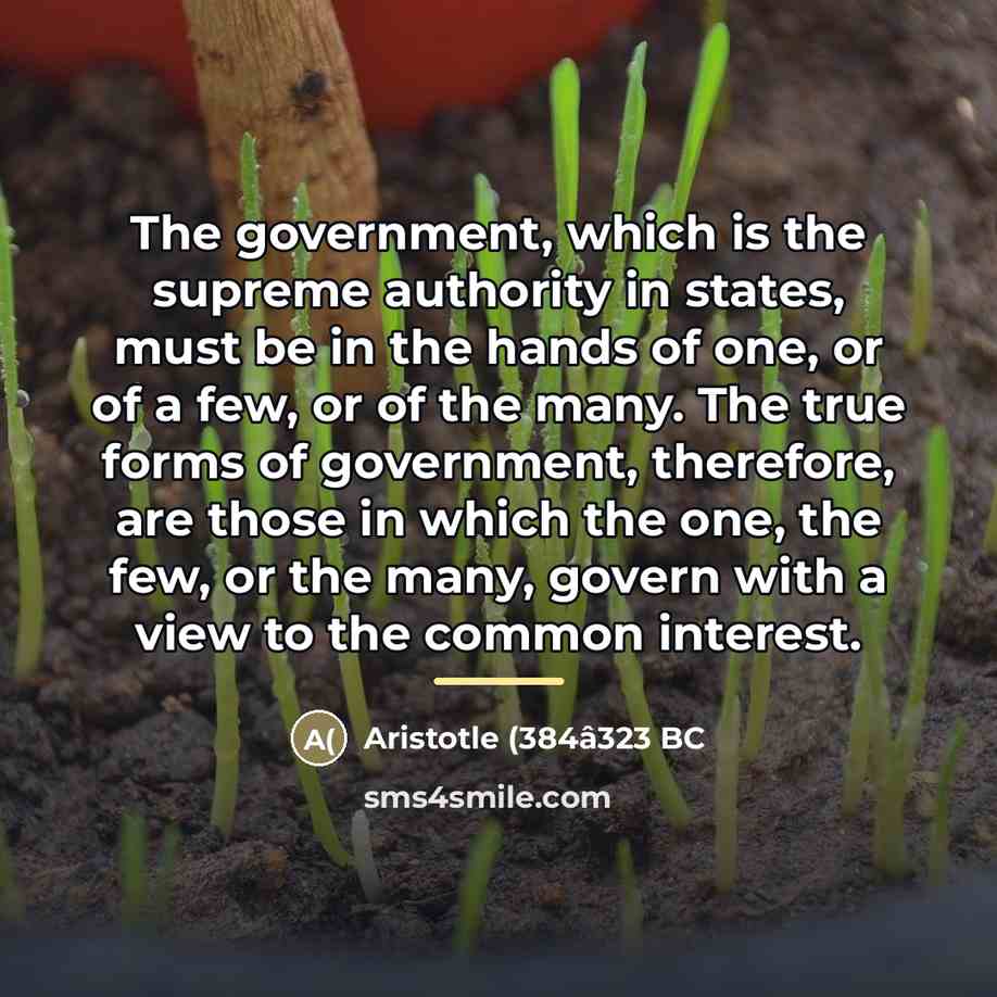 “The government, which is the supreme authority in states, must…” quote by Aristotle (384â323 BC