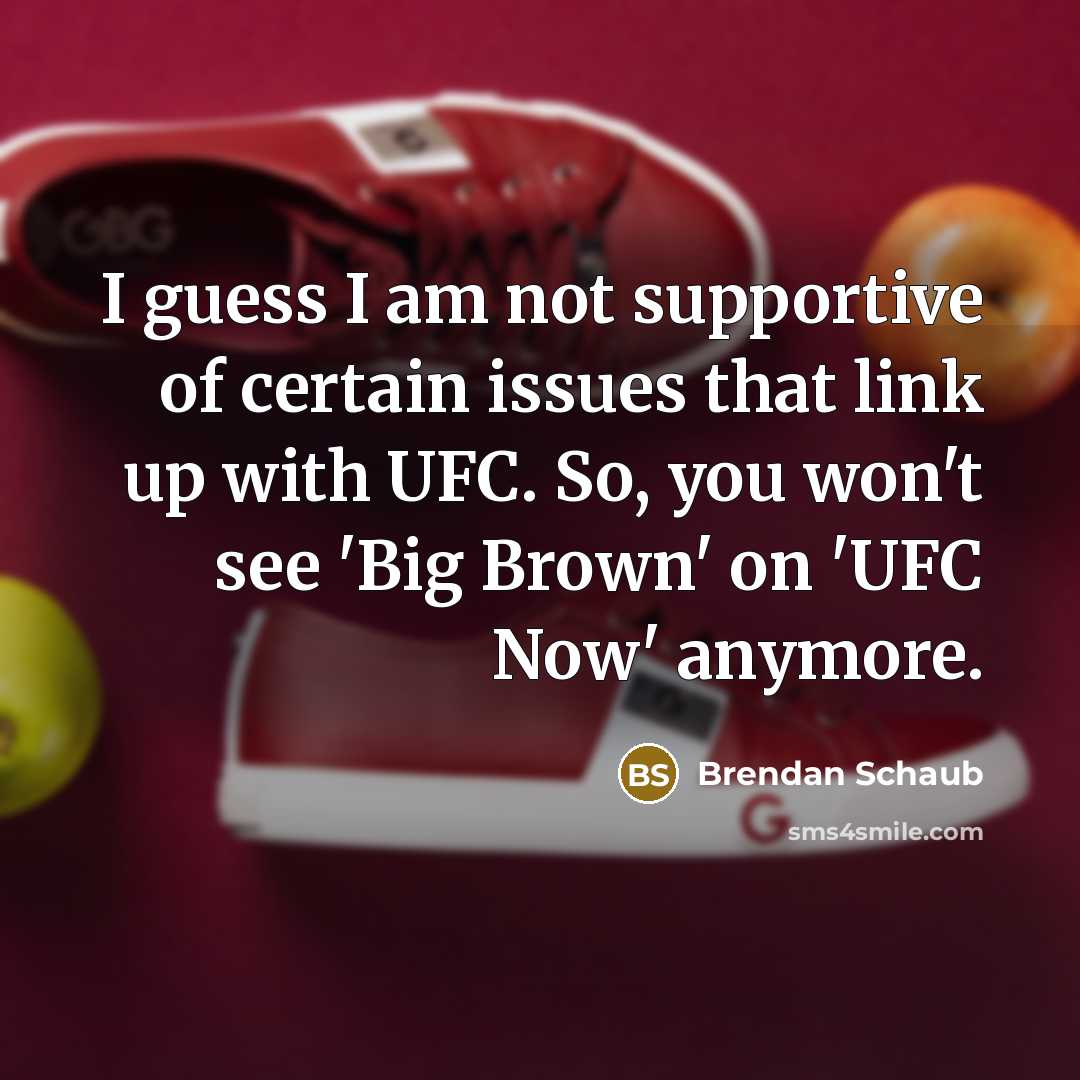 “I guess I am not supportive of certain issues that…” quote by Brendan Schaub