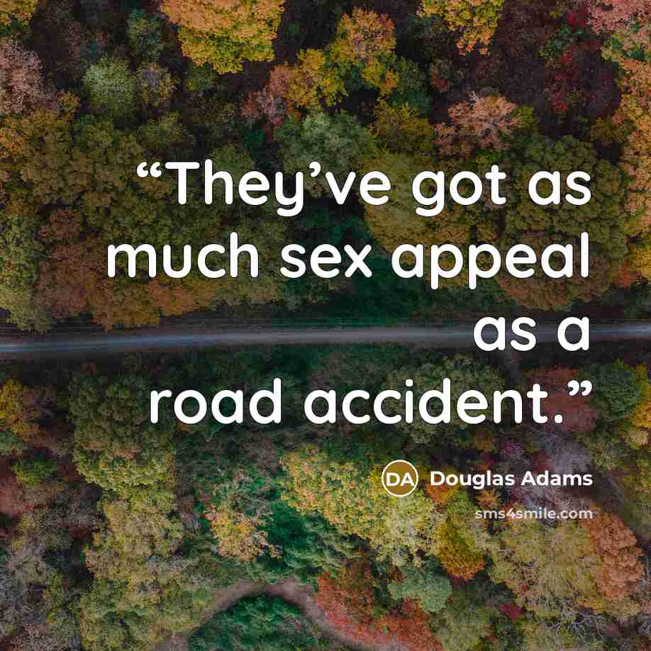 “They’ve got as much sex appeal as a road accident.” quote by Douglas Adams