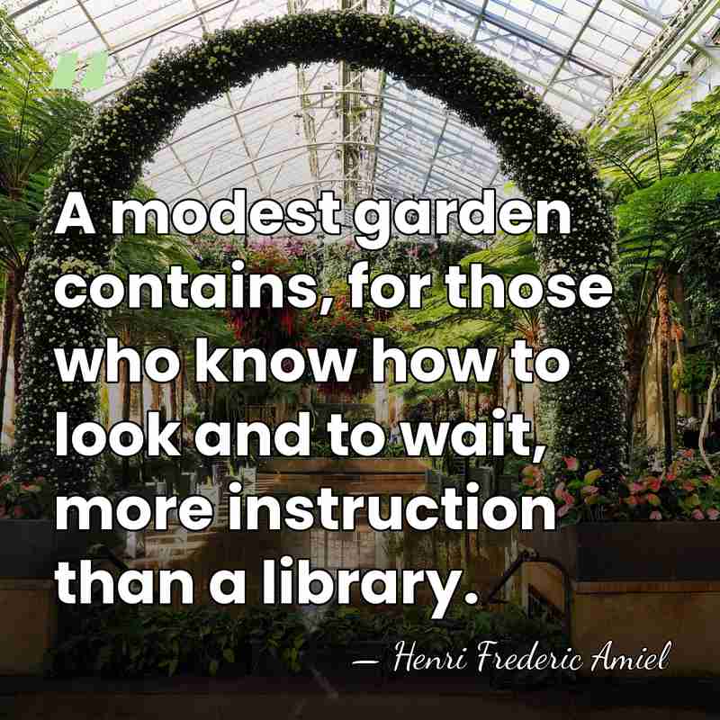 A modest garden contains, for those who know how to look and&hellip; - Henri Frédéric Amiel