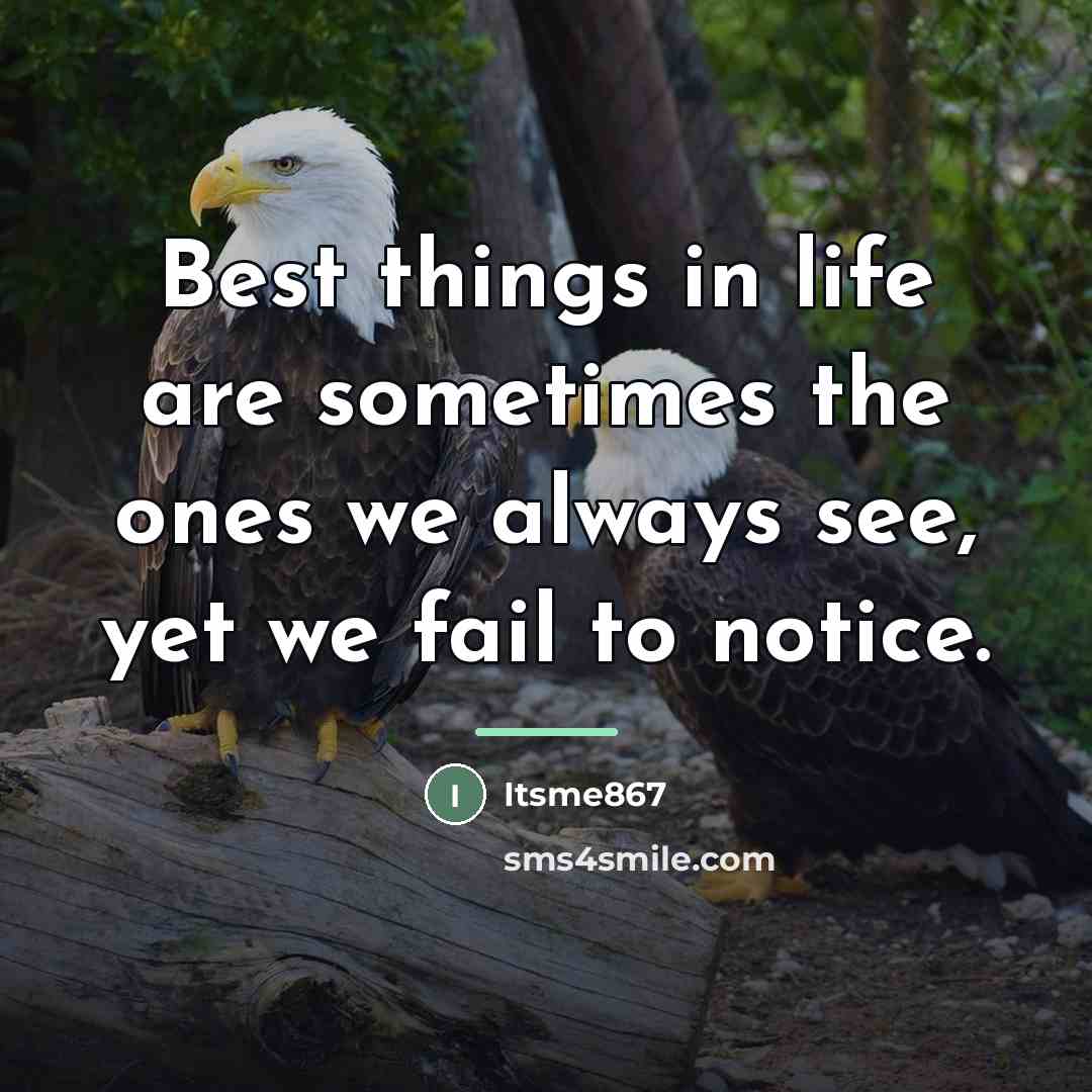 “Best things in life are sometimes the ones we always…” quote by Itsme867