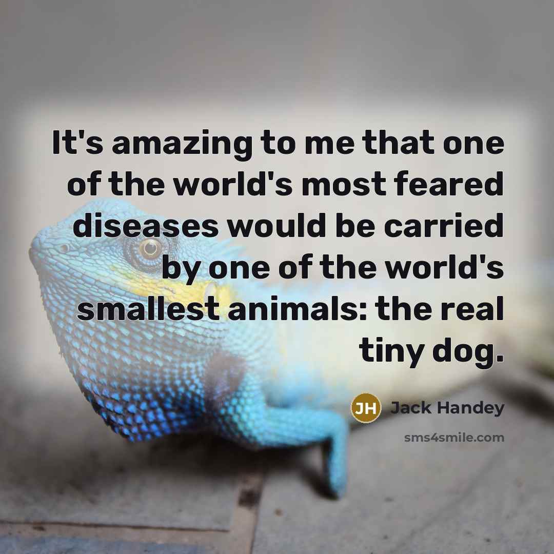 “It's amazing to me that one of the world's most…” quote by Jack Handey