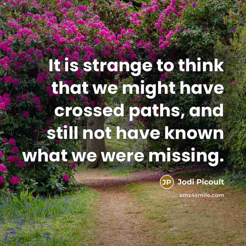 “It is strange to think that we might have crossed…” quote by Jodi Picoult