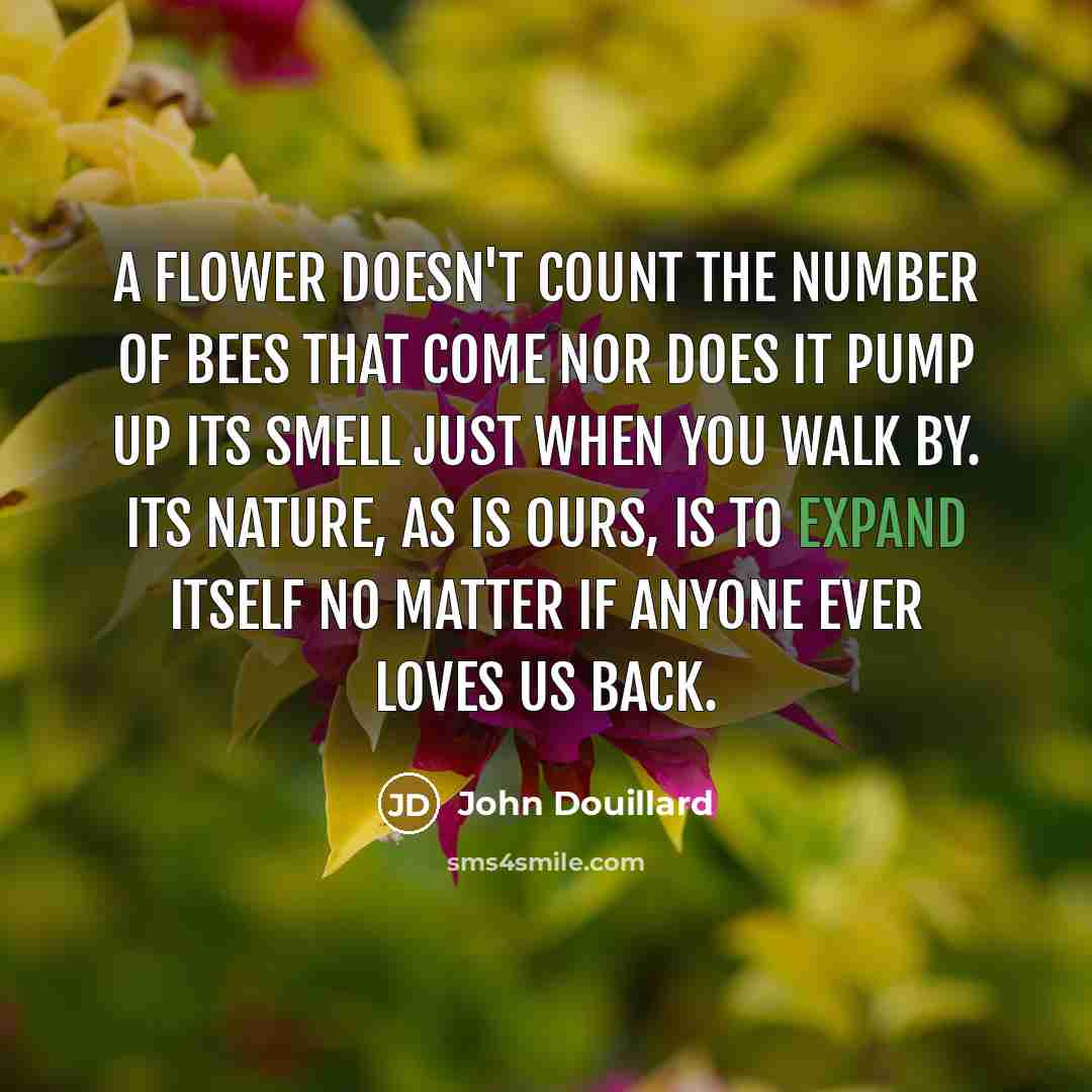 “A flower doesn't count the number of bees that come…” quote by John Douillard