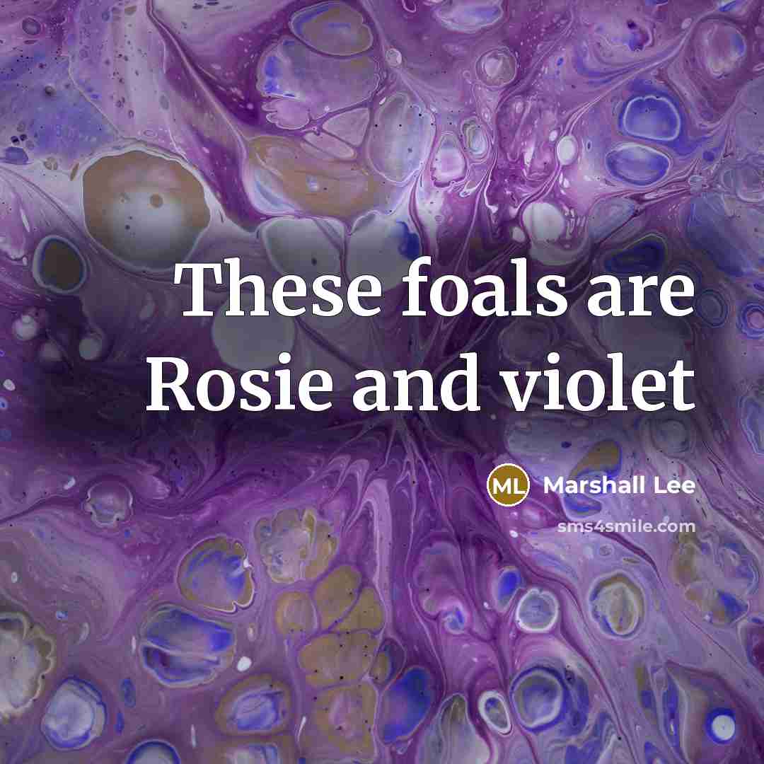 “These foals are Rosie and violet…” quote by Marshall Lee