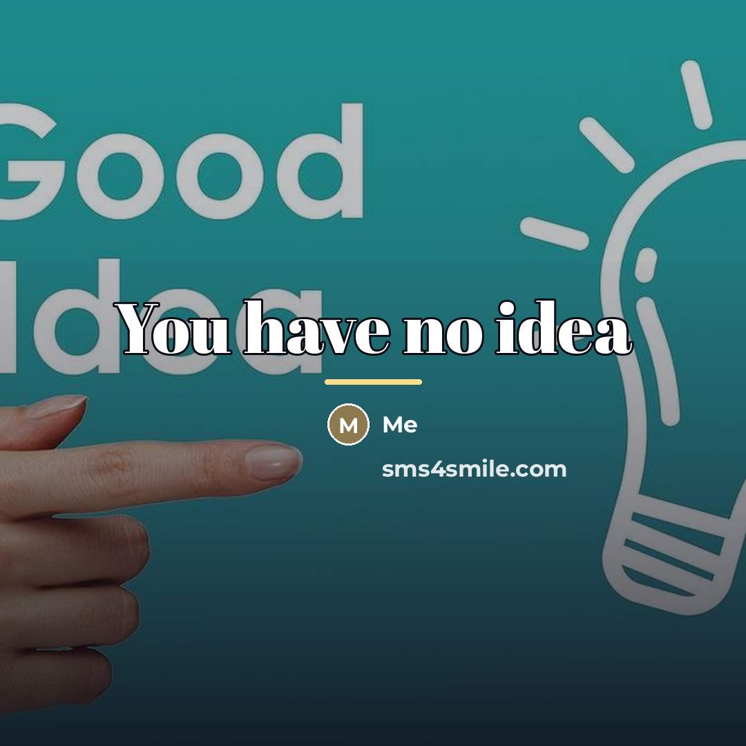 “You have no idea…” quote by Me
