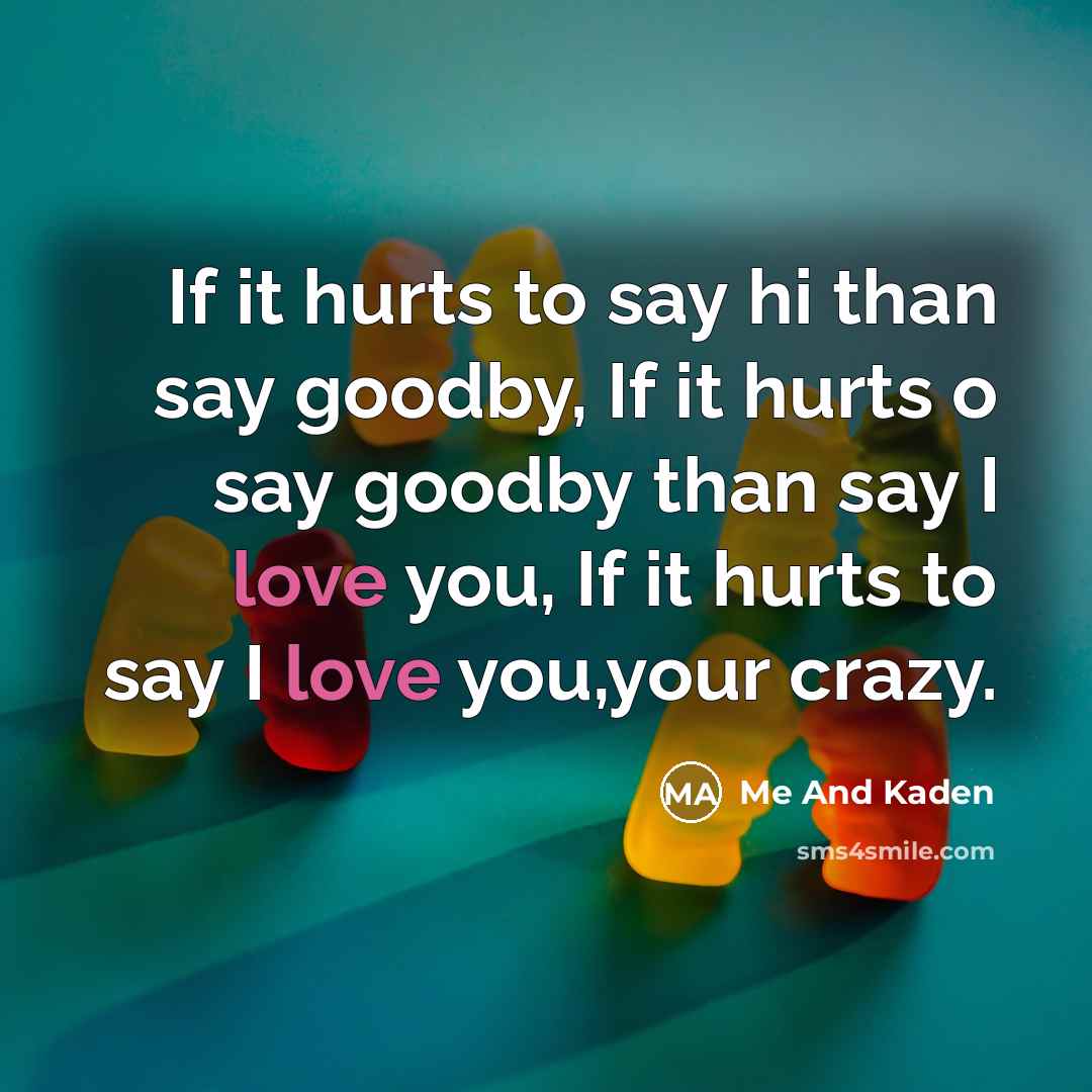 “If it hurts to say hi than say goodby, If…” quote by Me And Kaden