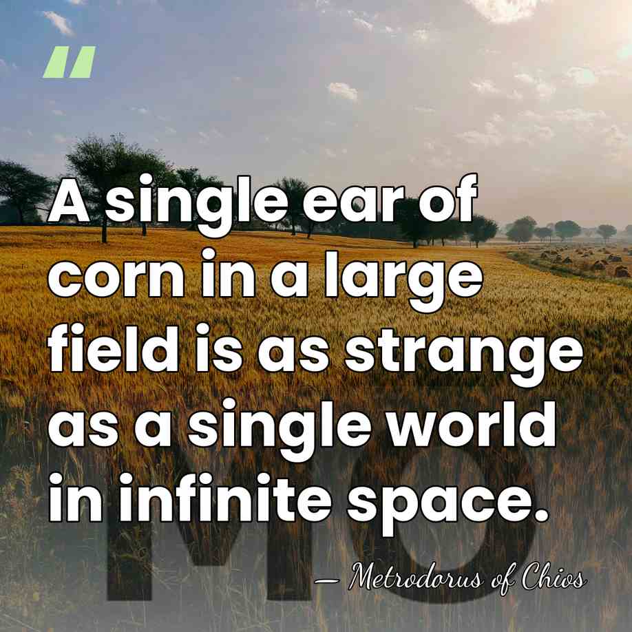 A single ear of corn in a large field is as strange&hellip; - Metrodorus of Chios