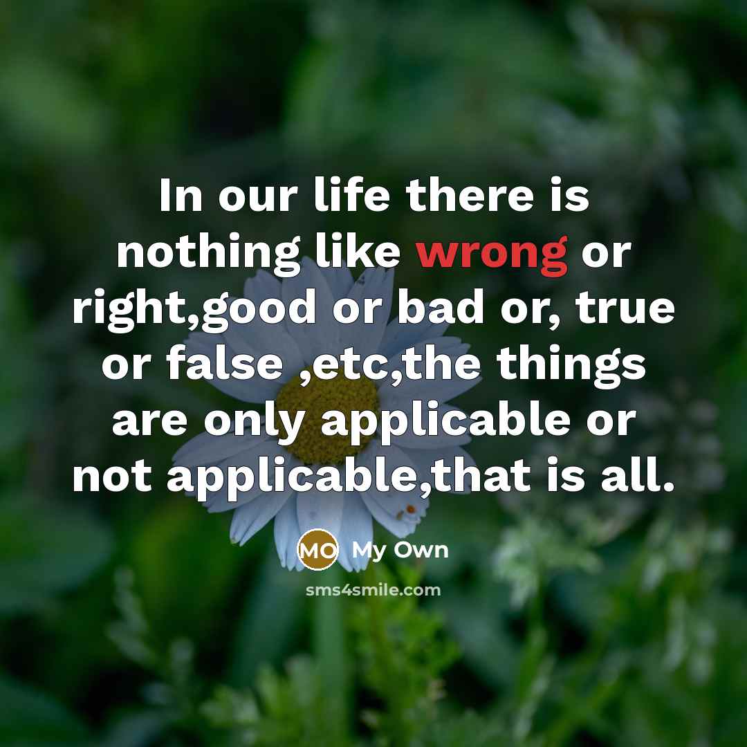 “In our life there is nothing like wrong or right,good or bad or, true or false ,etc,the things are only applicable or not applicable,that is all.” quote by My Own