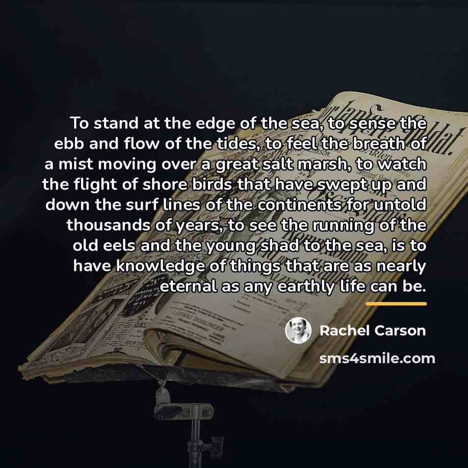 “To stand at the edge of the sea, to sense…” quote by Rachel Carson