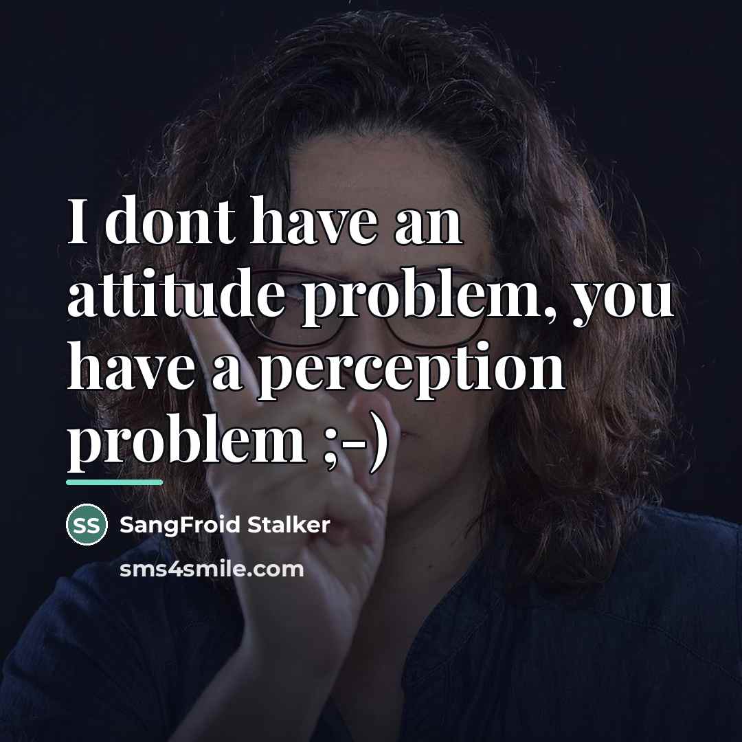 “I dont have an attitude problem, you have a perception…” quote by SangFroid Stalker