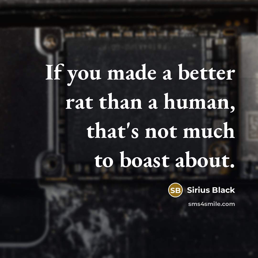 “If you made a better rat than a human, that's…” quote by Sirius Black