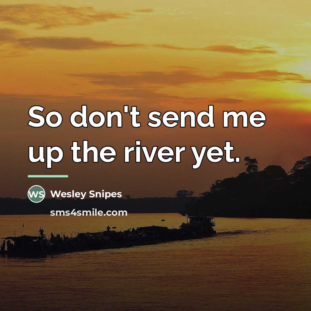 “So don't send me up the river yet.…” quote by Wesley Snipes