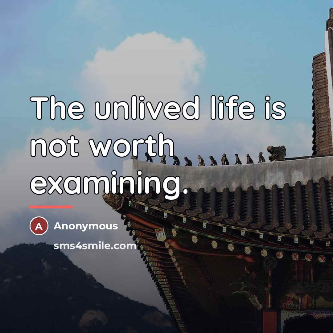 “The unlived life is not worth examining.…” quote by Anonymous