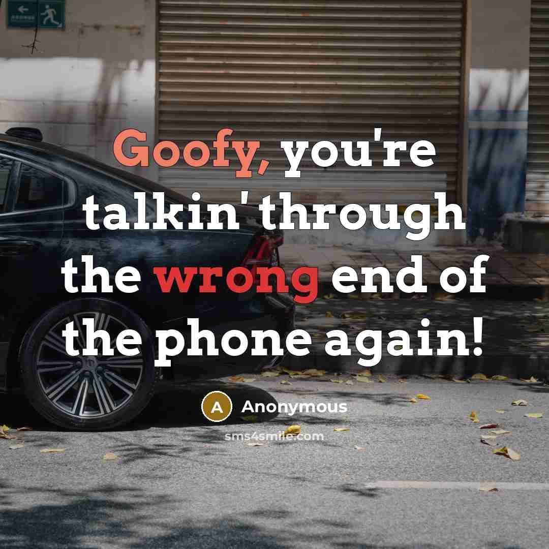 “Goofy, you're talkin' through the wrong end of the phone again!” quote by Anonymous