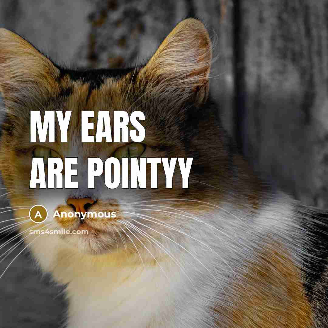 “My ears are pointyy” quote by Anonymous